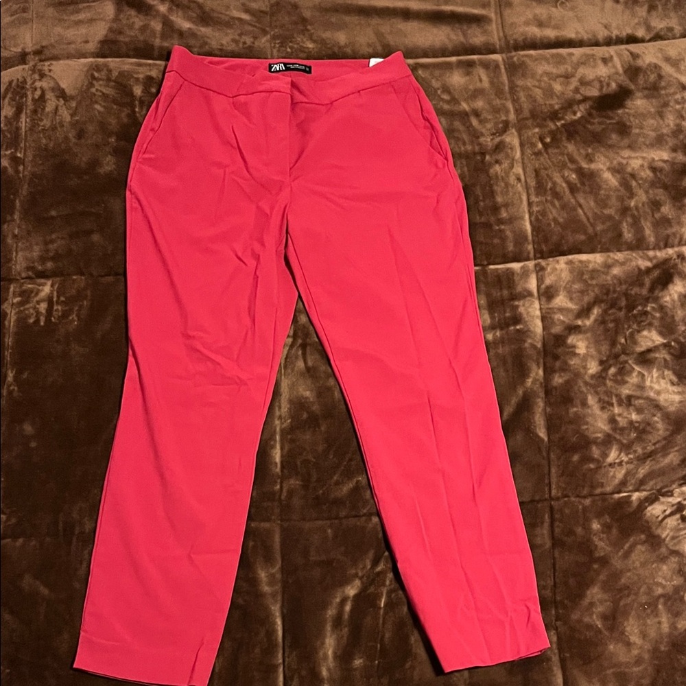 Zara Vibrant Pink Pants
